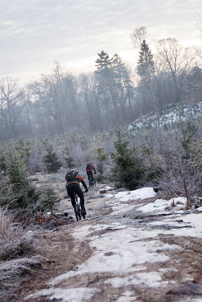 Kasper og Kristian i Hareskoven