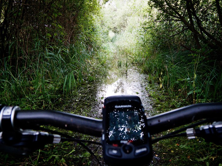 Stien langs Mølleåen, ved Farum Sø