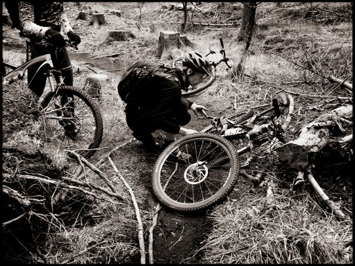 Dr. Helweg har andre problemer op til Stamina12