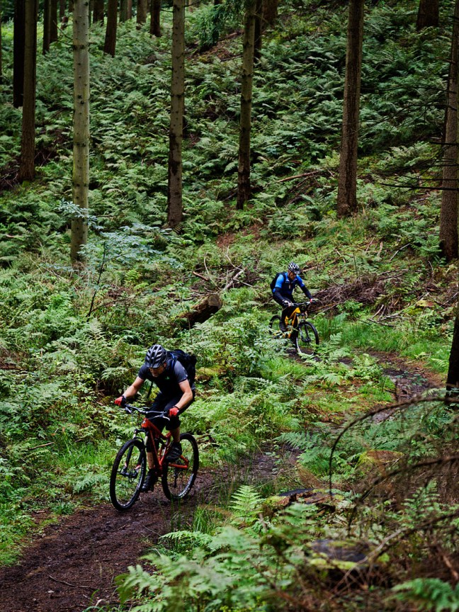 Superlighten med Tallboy LTc i hælene