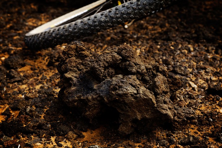 Mellem vulkanrester på Lanzarote