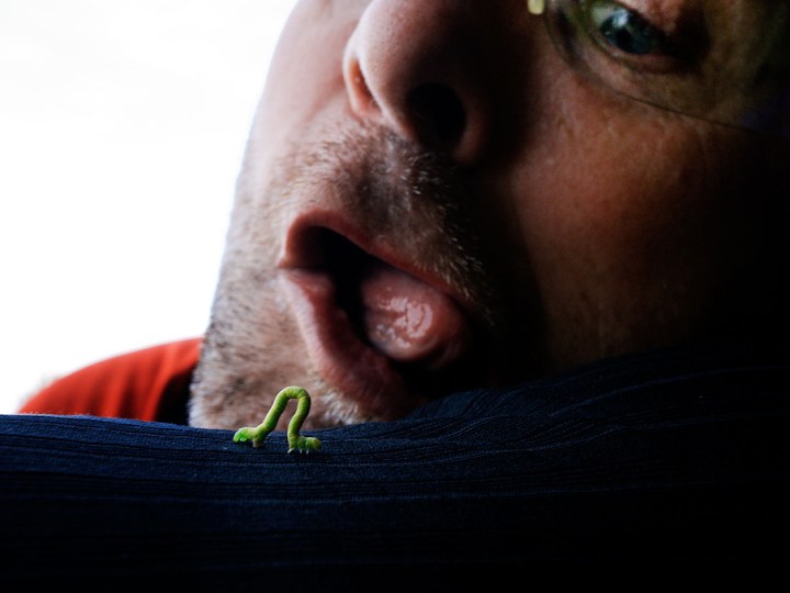 Jesper med sin frokost