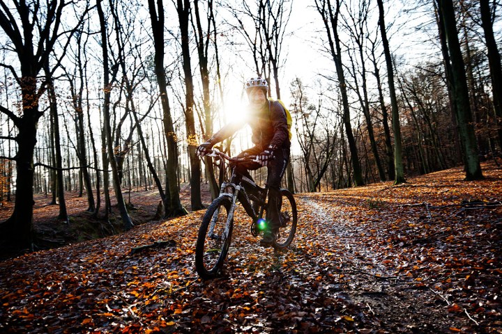 Jepser i Det Danske Sweitz