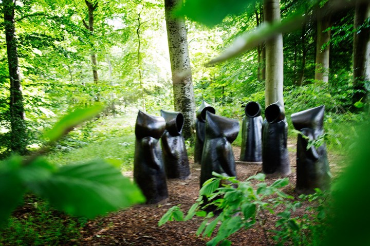 Nye venner i Ulkerup Skov