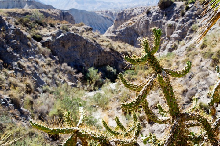 Det vilde vesten, Spanien