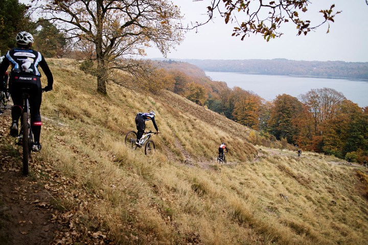 Dollerup Bakker - den rigtige vej