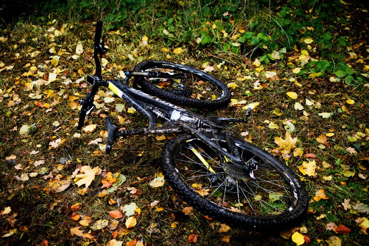 T-boy2 i efterårsfarver